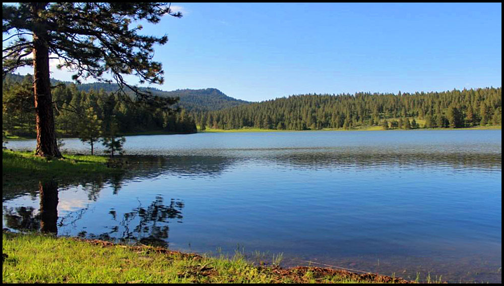 Thorn Creek Ranch