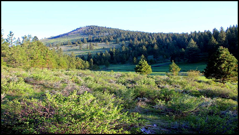 Thorn Creek Ranch