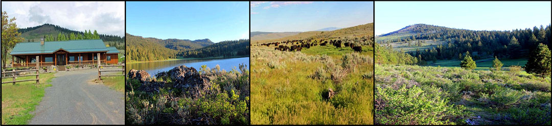 thorn-creek-01 thorn-creek-01